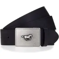 Mustang Cinturón negro