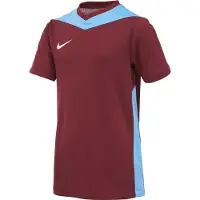 Nike Camiseta funcional azul cielo / rojo carmesí / blanco