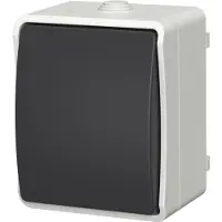 EverFlourish Interruptor de palanca Aquatop - 250V, 10A