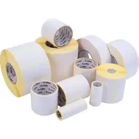 Zebra Z-Perform 1000D etiquetas (3004861-T) 51 x 32 mm (10 rollos) (original)