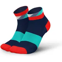 Incylence - Ultralight Strides Short - Calcetines de running size 35-38, multicolor