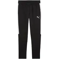 Puma Pantalón deportivo 'TeamEVOSTRIPE' negro / blanco