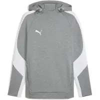 Puma Camiseta deportiva 'TeamEVOSTRIPE' gris / gris claro