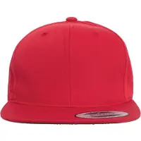 Flexfit Sombrero 'Pro-Style' rojo