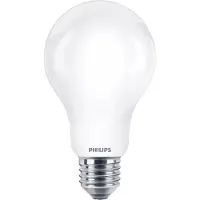 Philips Bombilla Led E27 2452lumen 6500lumen Cold Light Standard 17.5w