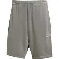 Adidas Pantalón deportivo 'All Szn' piedra