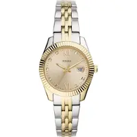 Fossil Reloj analógico oro / plata