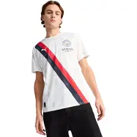 Puma Camiseta de fútbol marino / rojo oscuro / negro / blanco