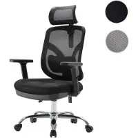 Mendler Silla de oficina HWC-J92, silla de escritorio, ergonómica, con soporte lumbar y reposabrazos ajustables color