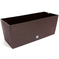 Prosperplast Jardinera Terra Rato Rectangular 30l 60x25x24 Cm