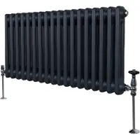 MonsterShop Radiador tradicional de 2 columnas - 300 x 832 mm - Gris antracita