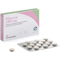Karizoo Suplemento Para Mascotas Silycure 160mg 30 Unidades