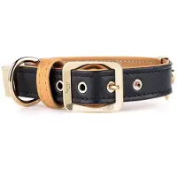 My Family Collar Para Perro Hermitage