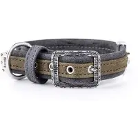My Family Collar Para Perro London