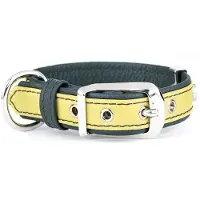 My Family Collar Para Perro Firenze