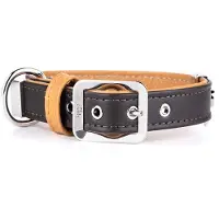 My Family Collar Para Perro Hermitage