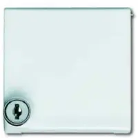 Busch-Jaeger BUSCH JAEGER 2118 GKSL-32 - Blanco - IP 44 - 70 mm - 70 mm