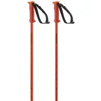 Salomon Bastones Polar