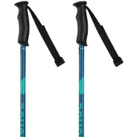 Rossignol Bastones Para Mujer Electra