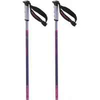 Salomon Bastones Arctic S3 Xl