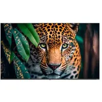 Newline Monitor Stv-5524p 55´´ 4k Lcd