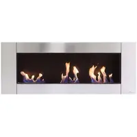 Purline Chimenea De Etanol Zeus