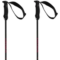 Völkl Bastones Rentastick Carbon