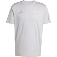 Adidas Camiseta funcional 'Mercedes-AMG Petronas F1 Team Silver Arrows' gris / gris claro