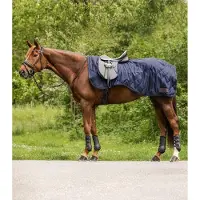Waldhausen : Protector renal exclusivo