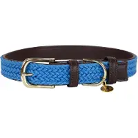 Kentucky Collar Para Perro Nylon Plaited