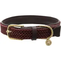 Kentucky Collar Para Perro Nylon Plaited