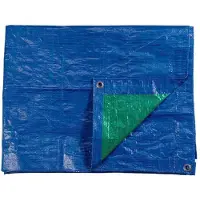 EDM Toldo enrollable , color azul y verde, de doble cara, dimensiones 2 x 3 metros, peso 90 gramos