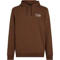 O'Neill Original Cali Logo Hoodie Hazel Spice Talla: S | Sudaderas con Capucha Outlet | Hombre
