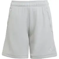 Adidas Pantalón deportivo gris