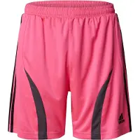 Adidas adidasPantalón corto Teamgeist Adicolor S Lucid Pink / Black Hombre