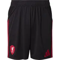 Adidas adidasPantalón corto segunda equipación Liverpool FC 25/26 S Black Hombre