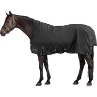 Waldhausen , manta para exteriores Nordic, cuello alto, 100 gramos, color negro, talla 165