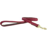 Kentucky Correa Para Perro Nylon Plaited 15 Mm
