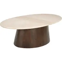 LivingFurn Mesa de centro Brix, 65 x 120 x 36 cm, madera de mango, piedra natural, color marrón beige