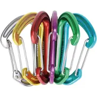 Edelrid Mosquetón Nineteen G Surtido 6 Unidades