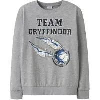 TWO SOON Sudadera 'Harry Potter' gris / mezcla de colores