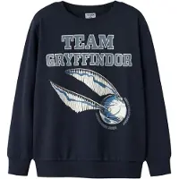 TWO SOON Sudadera 'Harry Potter' azul