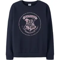 TWO SOON Sudadera 'Harry Potter' azul / rosa