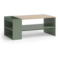 Vicco Mesa de centro Wido Verde 100 x 55 cm con estantes, Model 56609