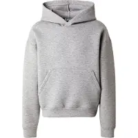 Weekday Sudadera 'Simon' gris