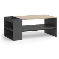 Vicco Mesa de centro Wido Antracita/Sonoma 100 x 55 cm con estantes, Model 56262