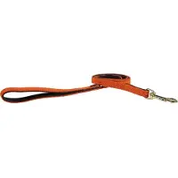 Kentucky Correa Para Perro Nylon Plaited 15 Mm