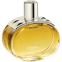 Hermès Paris Eau De Parfum Barénia Intense Vapo 100ml