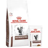 Royal Canin Gastro Intestinal Gato Pack Combinado - 4 kg + 12 x 85 gr