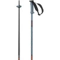 Salomon Bastones Polar Pro